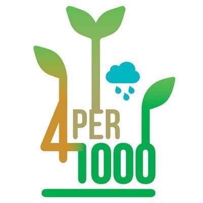 Restitution de l’Étude «4 pour 1000 Outre-mer» : stocker du carbone dans les sols agricoles et forestiers ultra-marins